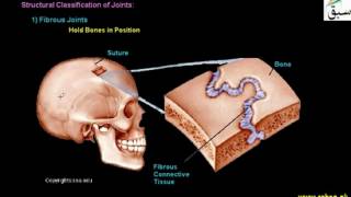 More on Joints