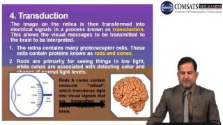 Human Computer Interaction Lecture 3 in Urdu| Hindi I Vcomsat
