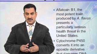BIO302_Topic067