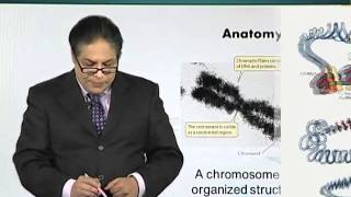 BIO201_Topic040