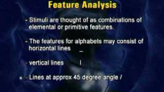 PSY504_Lecture14