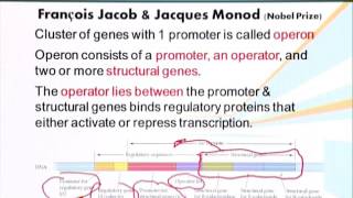 BIO201_Topic093