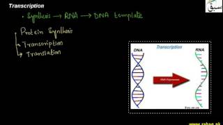 Transcription
