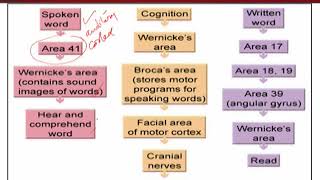ENG511_Topic148