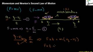 Momentum and Newton