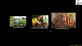 Importance of Fertilizers