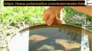 Applications of Polarized Light