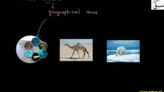 Biology and Other Sciences