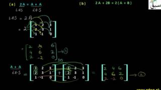 Problem 1: Multiplication of Matrix by a Real Number