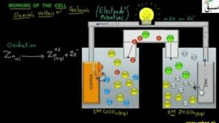 Working of the Cell
