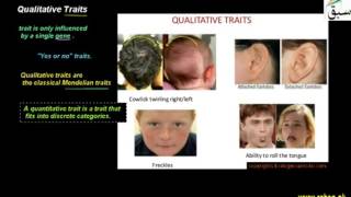 Qualitative Traits