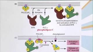 BIO201_Topic114