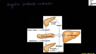 Feedback Mechanisms
