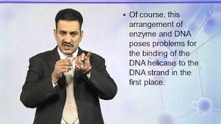 BIO302_Topic045