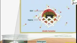 Function of Detergents
