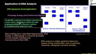 Application of DNA Analysis