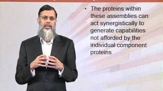 BIO202_Topic028