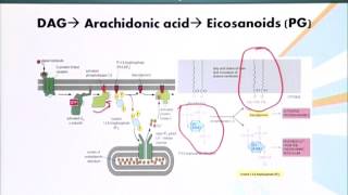 BIO201_Topic106