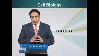 BIO201_Topic130