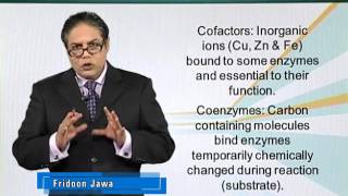 BIO201_Topic031