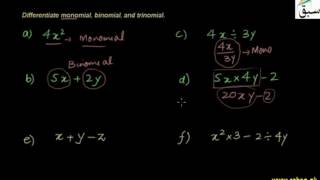 Problem 1: Polynomials w.r.t Terms & Variables