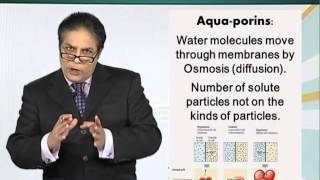 BIO201_Topic036