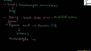 Alcoholic Fermentation (by Yeast)