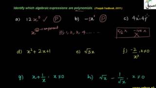Problem 1: Introduction to Polynomials