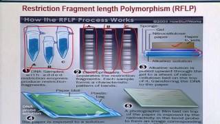BIF731_Topic110