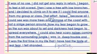 Narrative Essay Sample-Part-3 (writing of essay)