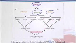 BIF733_Topic035
