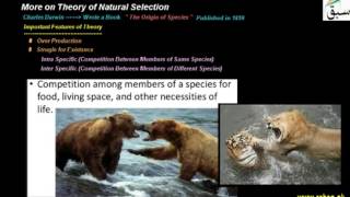 More on Theory of Natural Selection