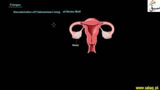 Hormonal Control of Reproductive Cycles