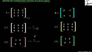 Problem 1: Multiplicative Identity of a Matrix