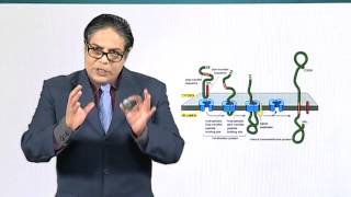 BIO201_Topic158