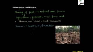 Deforestation, Soil Erosion