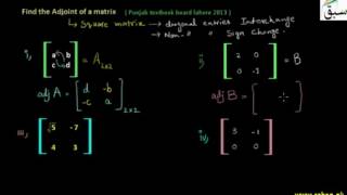 Problem 1: Adjoint of a Matrix