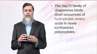 BIO202_Topic070