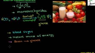 Uses of Carbohydrates