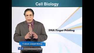 BIO201_Topic077