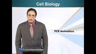 BIO201_Topic072