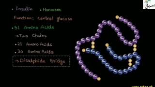 Structure of Protein