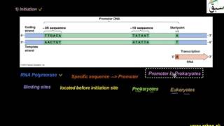 Advance Transcription