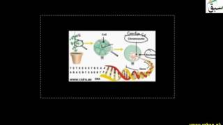 Genetic engineering