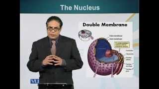 BIO201_Topic016