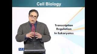 BIO201_Topic095