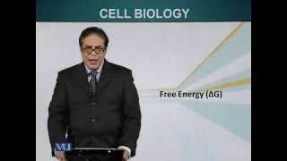 BIO201_Topic026