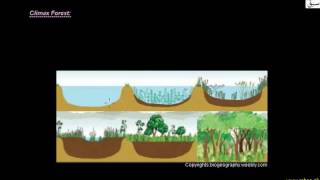 Wood land climax forest stage of hydrosere
