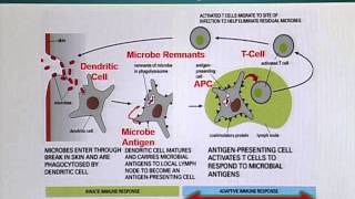 BIO201_Topic121