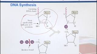 BIF733_Topic042